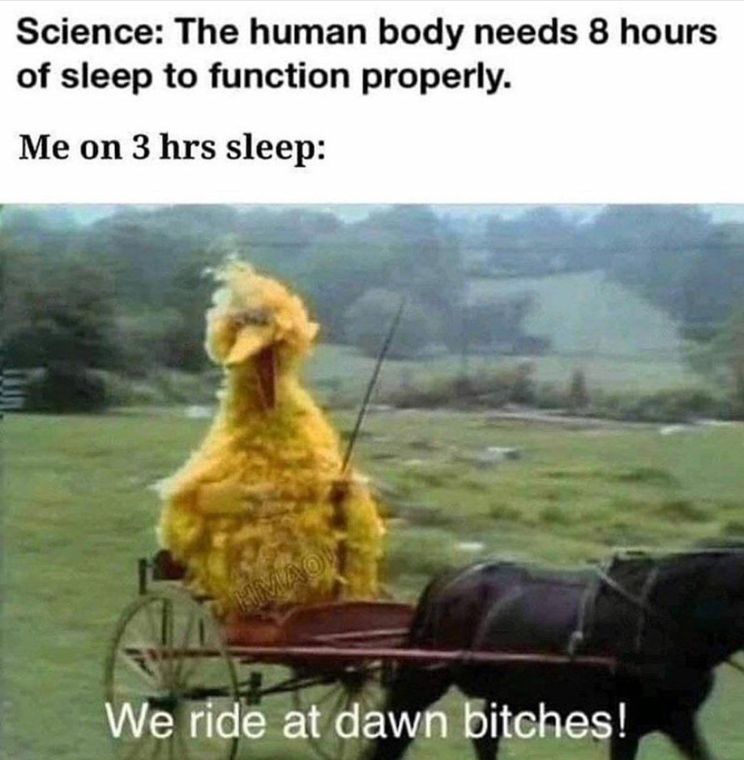 dank memes - we ride at dawn meme blank - Science The human body needs 8 hours of sleep to function properly. Me on 3 hrs sleep Hmao We ride at dawn bitches!