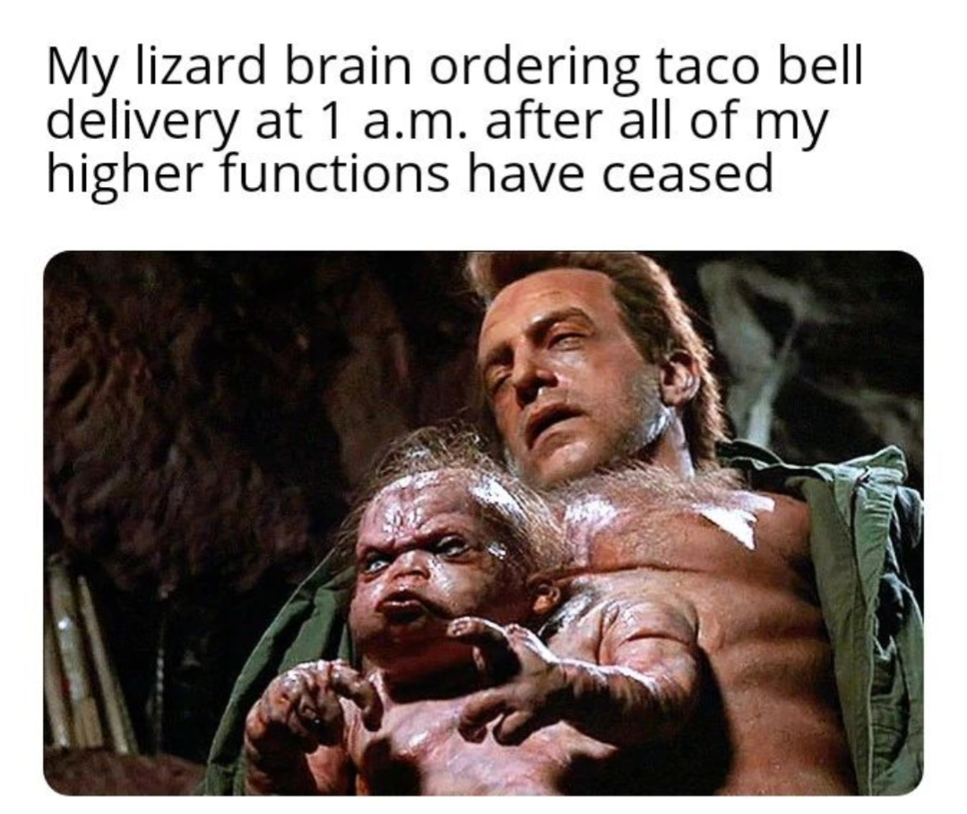dank memes - My lizard brain ordering taco bell delivery at 1 a.m. after all of my higher functions have ceased