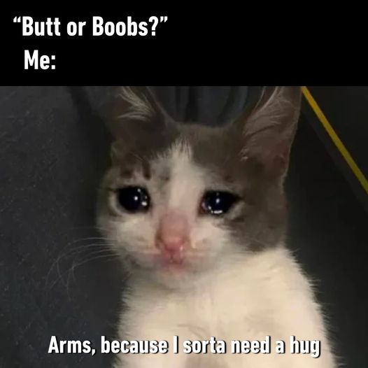 dank memes - "Butt or Boobs?" Me Arms, because I sorta need a hug
