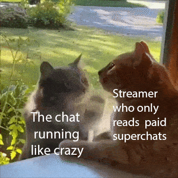 dank memes - funny memes - cat - The chat running crazy Streamer who only reads paid superchats