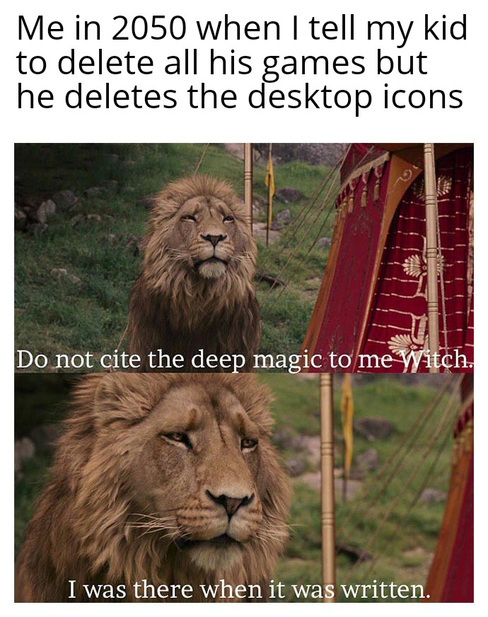 dank memes - funny memes - narnia lion - Me in 2050 when I tell my kid to delete all his games but he deletes the desktop icons Do not cite the deep magic to me Witch. I was there when it was written. Stifte Zas Mr.