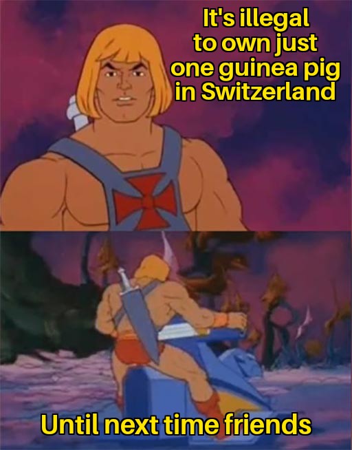 dank memes - funny memes - he man facts - It's illegal to own just one guinea pig in Switzerland Until next time friends