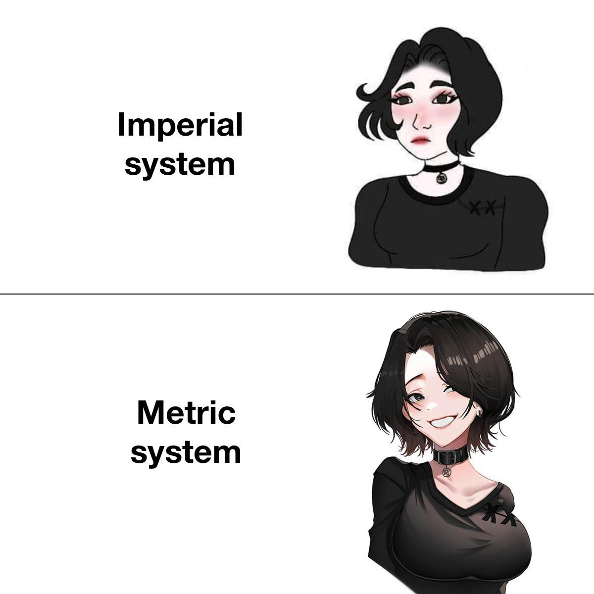 dank memes - funny memes - 123movies meme - Imperial system Metric system Xx