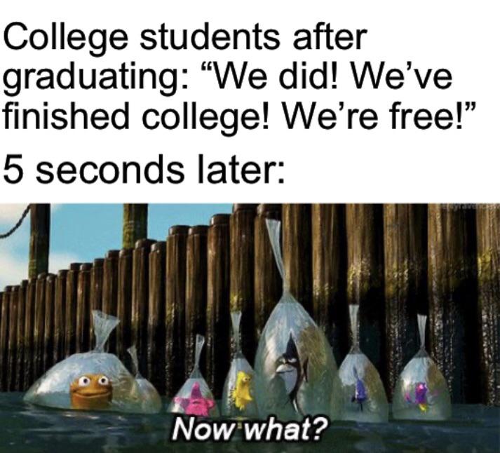 dank memes - funny memes - now what meme template - College students after graduating "We did! We've finished college! We're free!" 5 seconds later Now what?