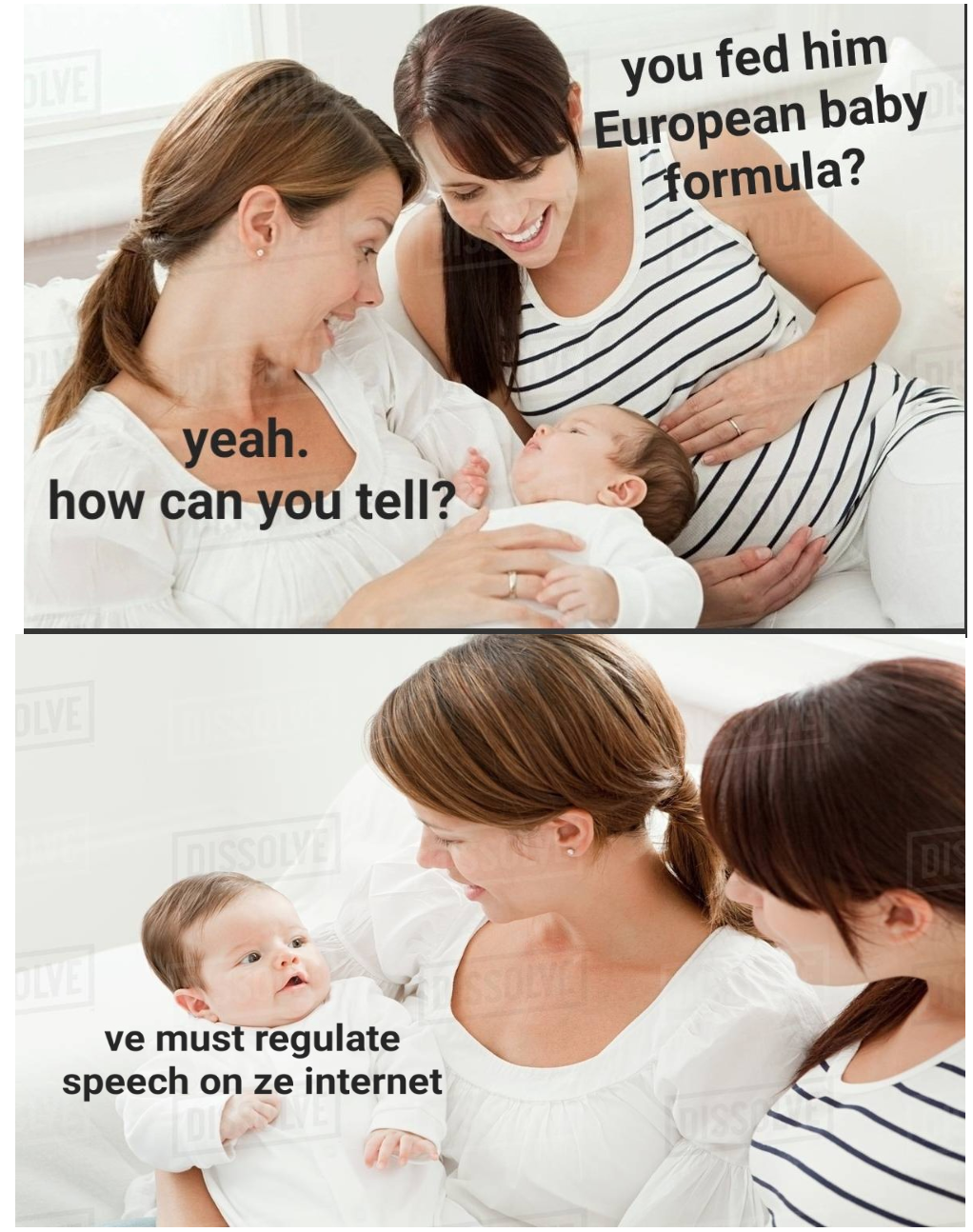 dank memes - funny memes - two women with child - yeah. how can you tell? Loissolve ve must regulate speech on ze internet you fed him European baby formula?