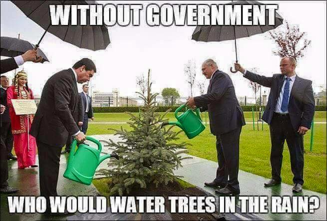 dank memes - without government who would water trees - Without Government Who Would Water Trees In The Rain?