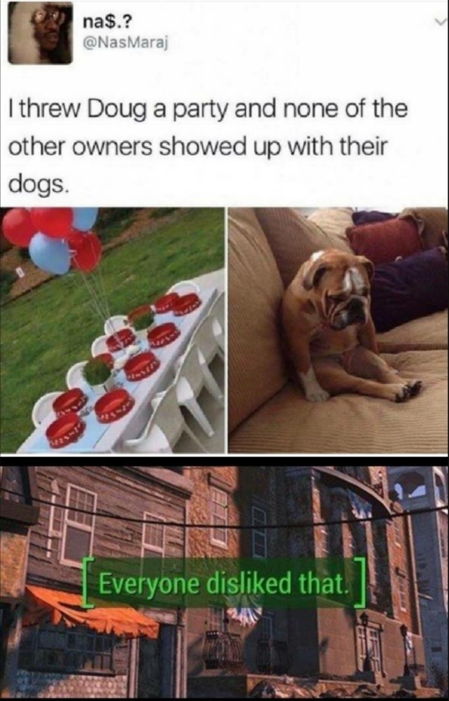 funny memes - everyone disliked that fallout gif - na$.? I threw Doug a party and none of the other owners showed up with their dogs. Everyone disd that.