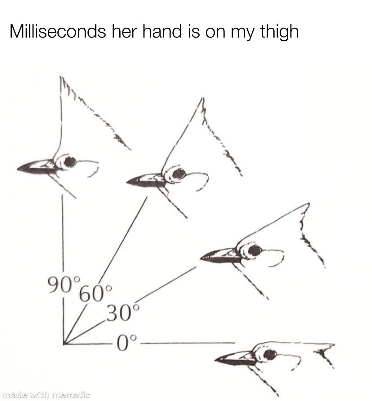 dank memes - 90 60 30 0 bird - Milliseconds her hand is on my thigh 90% 60 made with mematic 30 0