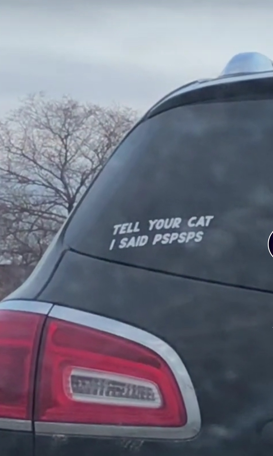 dank memes - vehicle door - Tell Your Cat I Said Pspsps