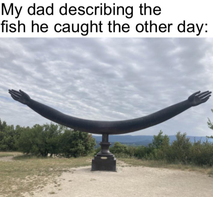 dank memes - château de lacoste - My dad describing the fish he caught the other day