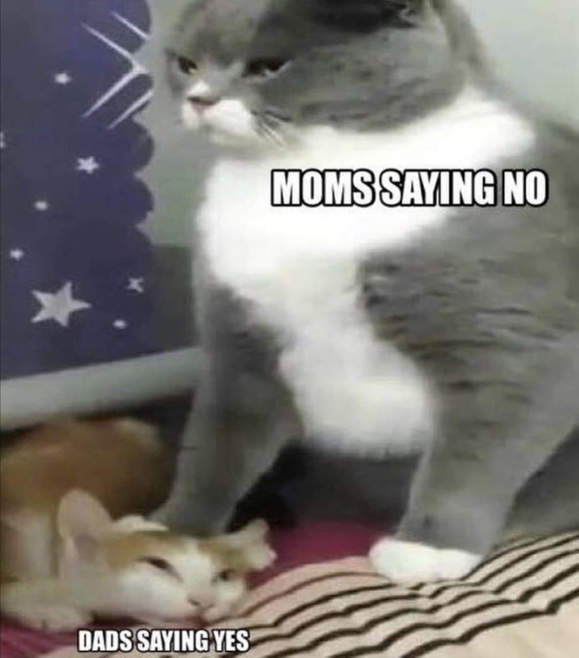 dank memes - mom saying no meme - Dads Saying Yes Moms Saying No