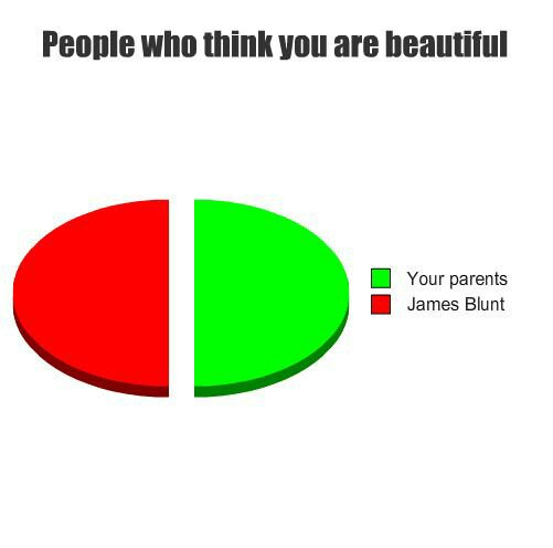 dank memes - people who think you are beautiful - People who think you are beautiful Your parents James Blunt