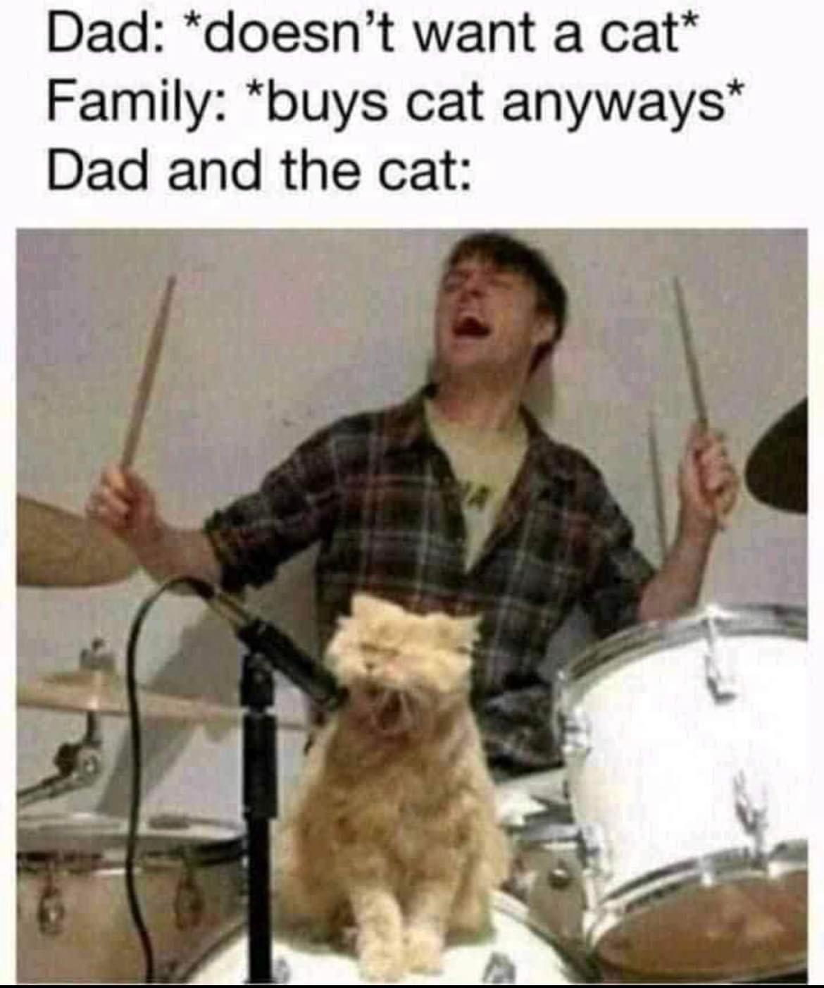 dank memes - dad and the cat meme drum - Dad doesn't want a cat Family buys cat anyways Dad and the cat