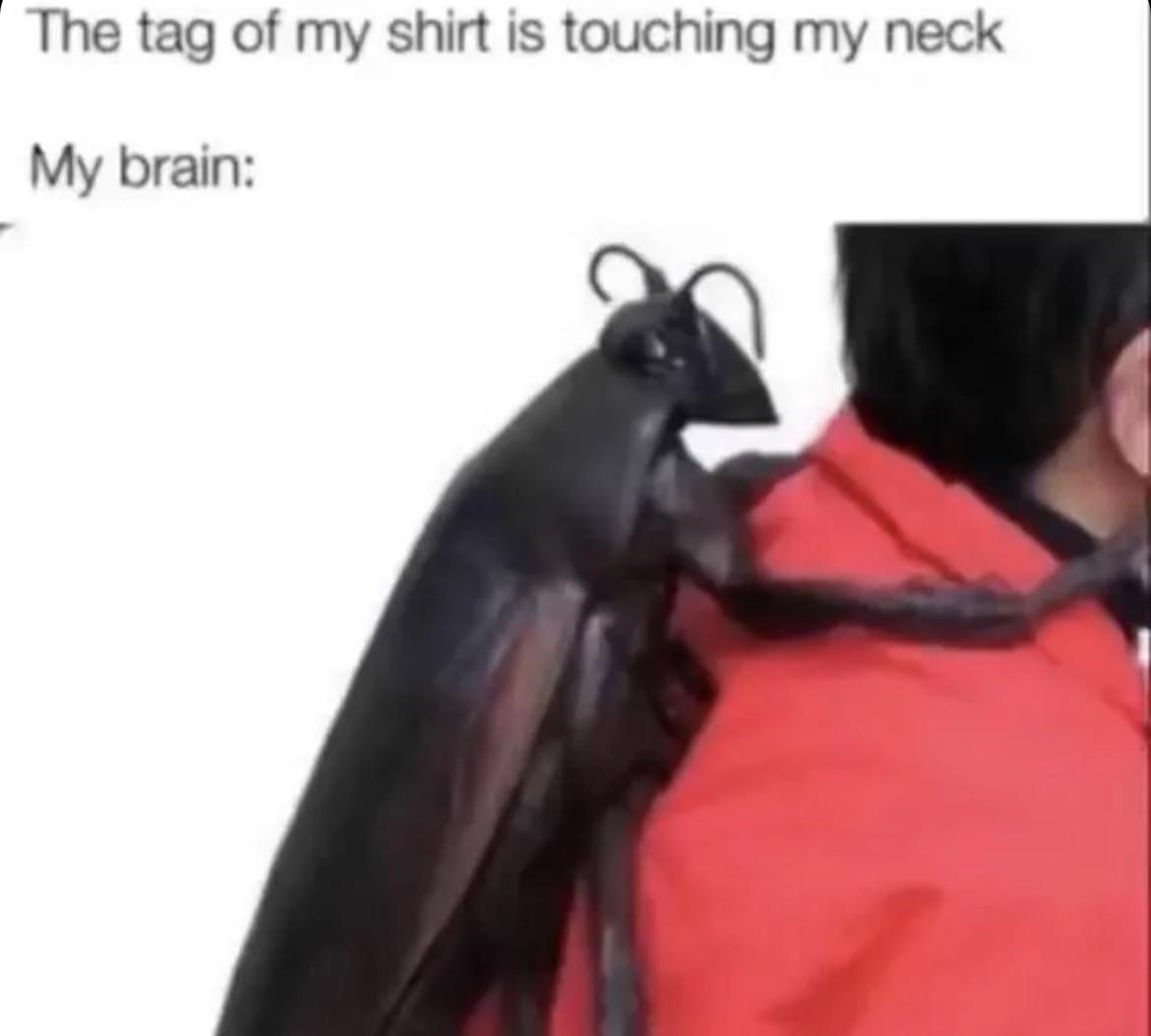 dank memes  - tag of my shirt touching my neck - The tag of my shirt is touching my neck My brain