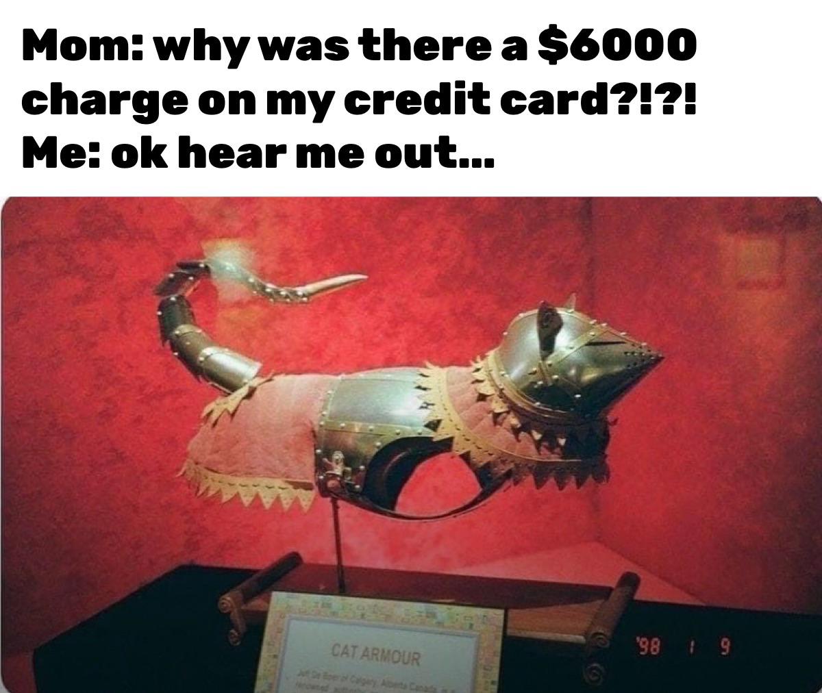 dank memes - armour cat - Mom why was there a $6000 charge on my credit card?!?! Me ok hear me out... '98 19 Cat Armour ut De Boer Calgary, Alberta Canada