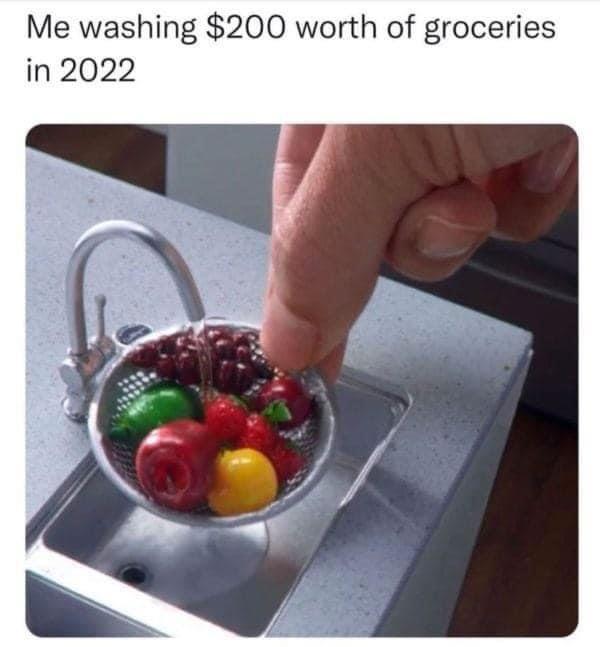 dank memes - me washing $200 worth of groceries - Me washing $200 worth of groceries in 2022