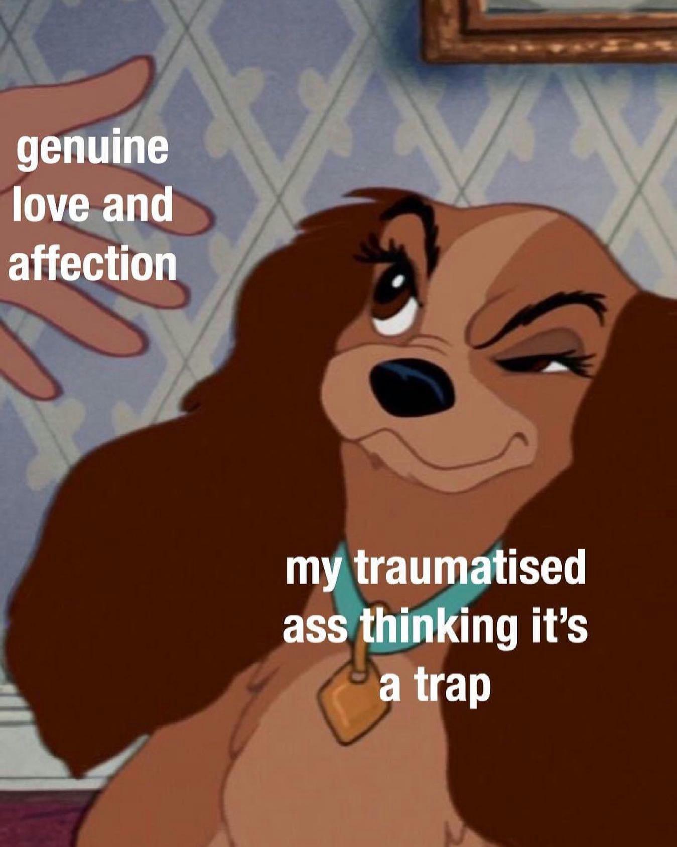 dank memes - genuine love and affection meme - genuine love and affection my traumatised ass thinking it's a trap
