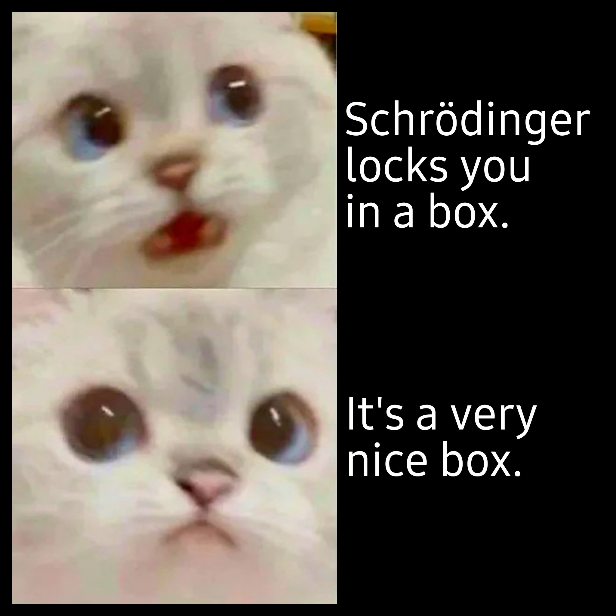 dank memes - schrodinger cat meme - Schrdinger locks you in a box. It's a very nice box.