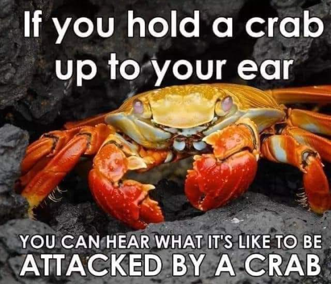 dank memes - crab memes funny - If you hold a crab up to your ear You Can Hear What It'S To Be Attacked By A Crab