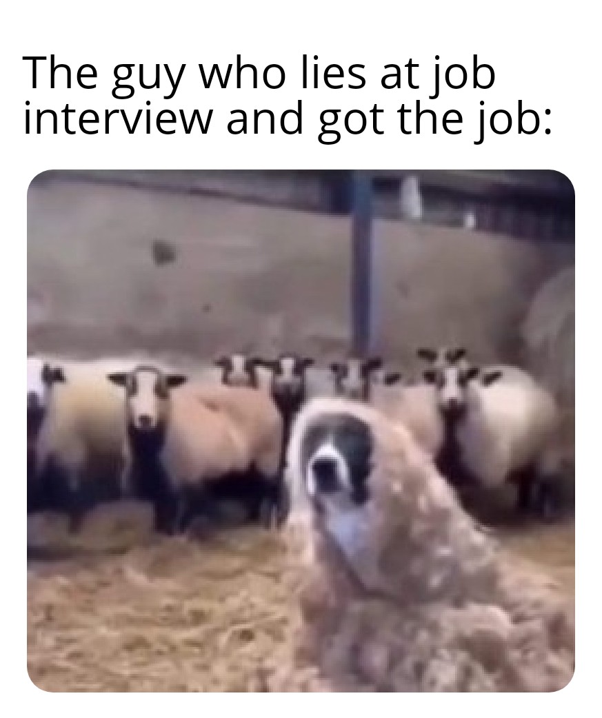 dank memes - The guy who lies at job interview and got the job