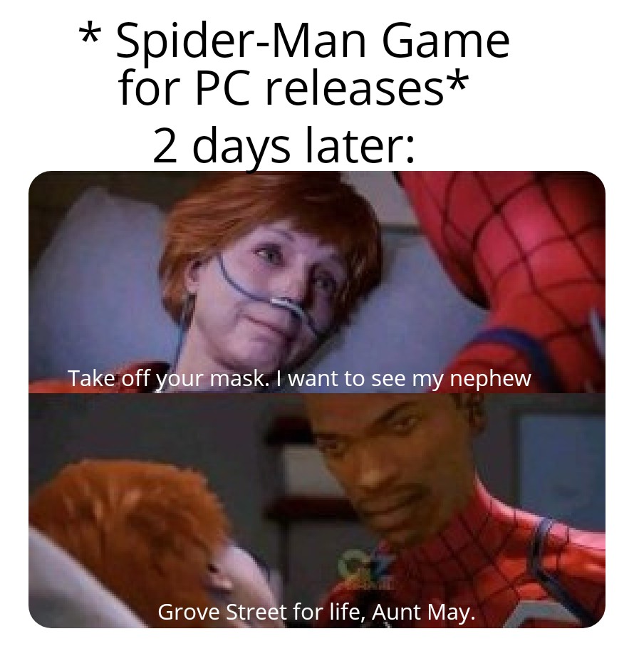 funny memes - photo caption - SpiderMan Game for Pc releases 2 days later Take off your mask. I want to see my nephew Grove Street for life, Aunt May.