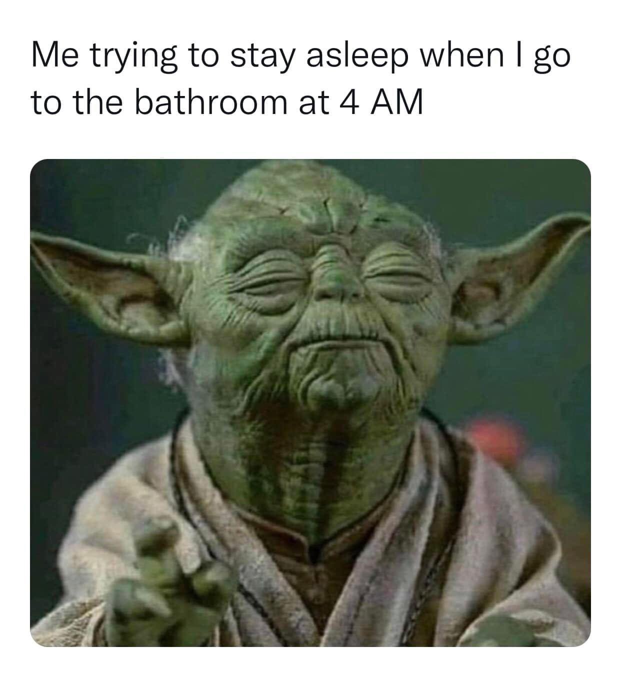 funny memes - me trying to stay sleepy when i go to the bathroom at 4am - Me trying to stay asleep when I go to the bathroom at 4 Am
