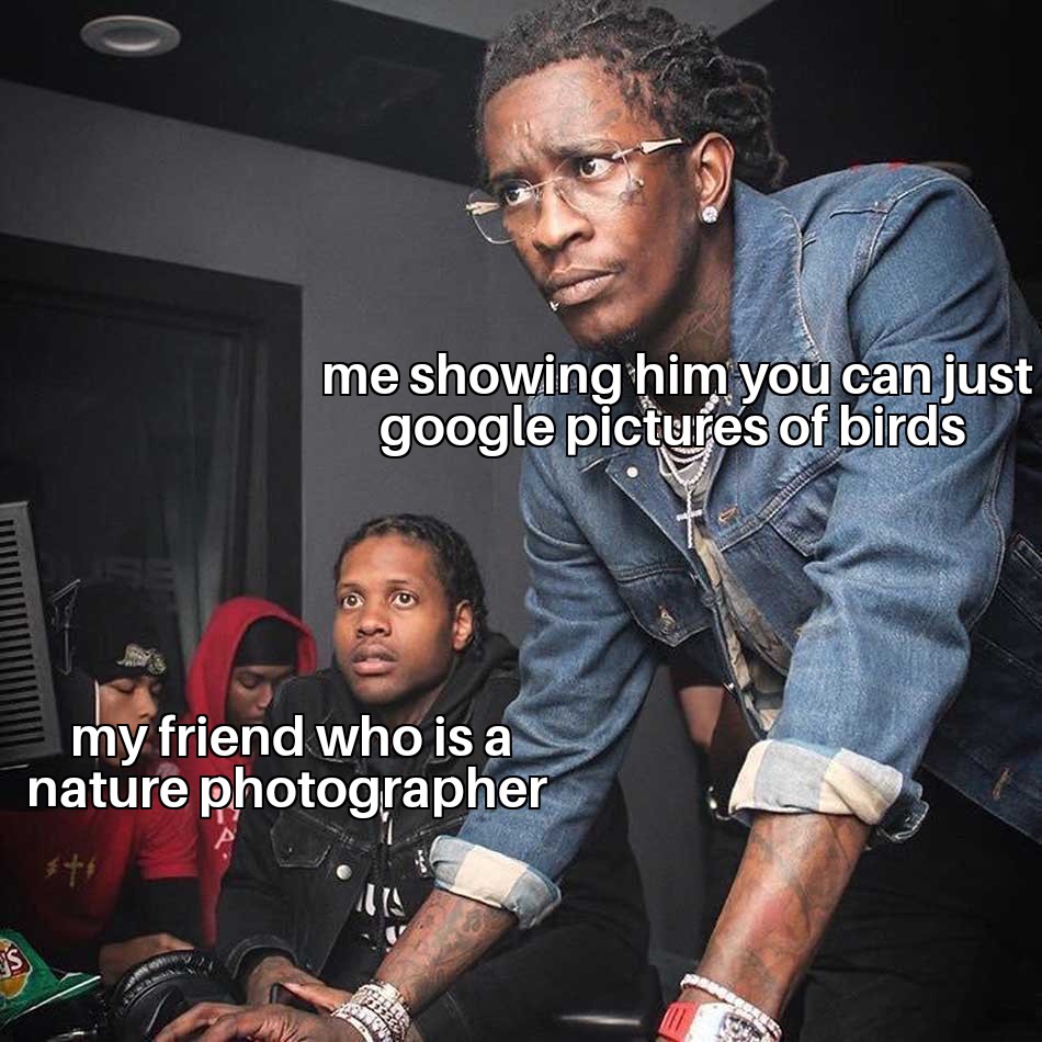 funny memes - reading ecg meme - S me showing him you can just google pictures of birds my friend who is a nature photographer m