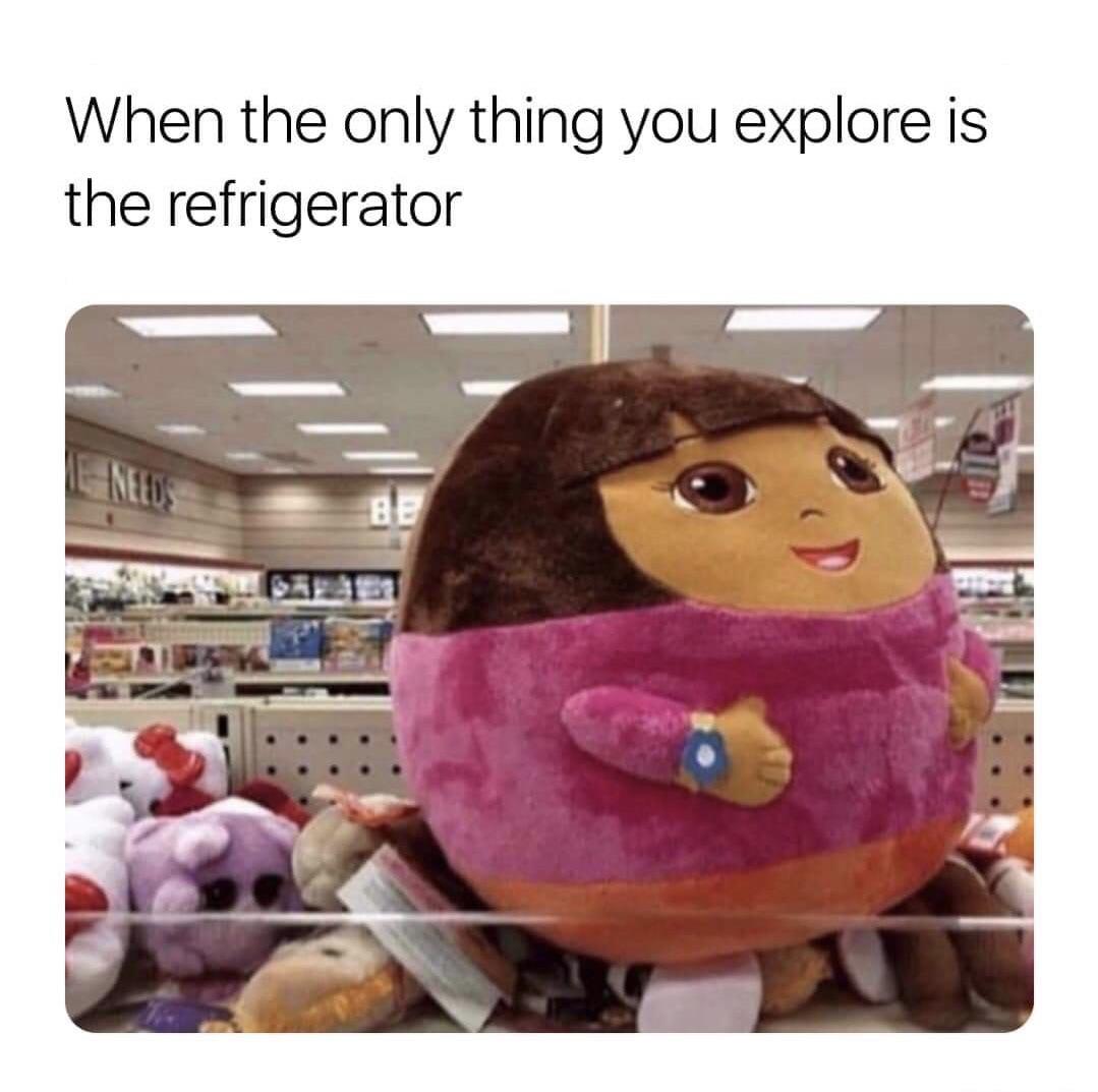 dank memes - funny memes - only thing you explore - When the only thing you explore is the refrigerator ENeeds