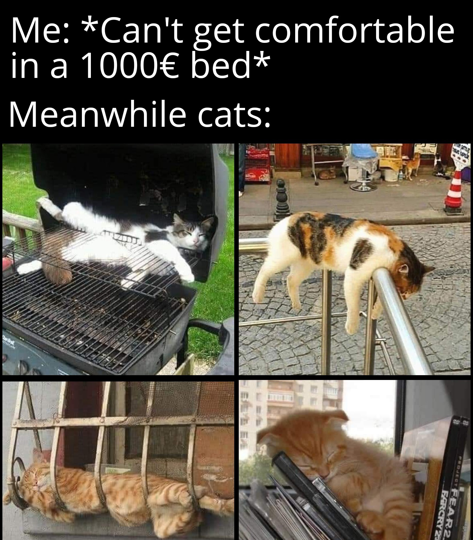 dank memes - funny memes - cat - Me Can't in a 1000 bed Meanwhile cats get comfortable Farcry 2 FEAR2