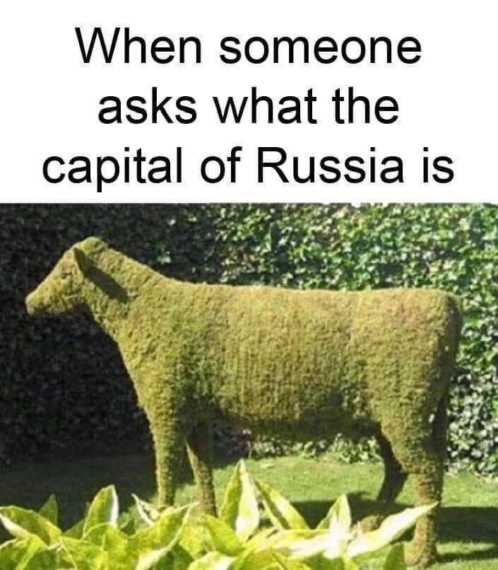 dank memes - funny memes - moss cow - When someone asks what the capital of Russia is