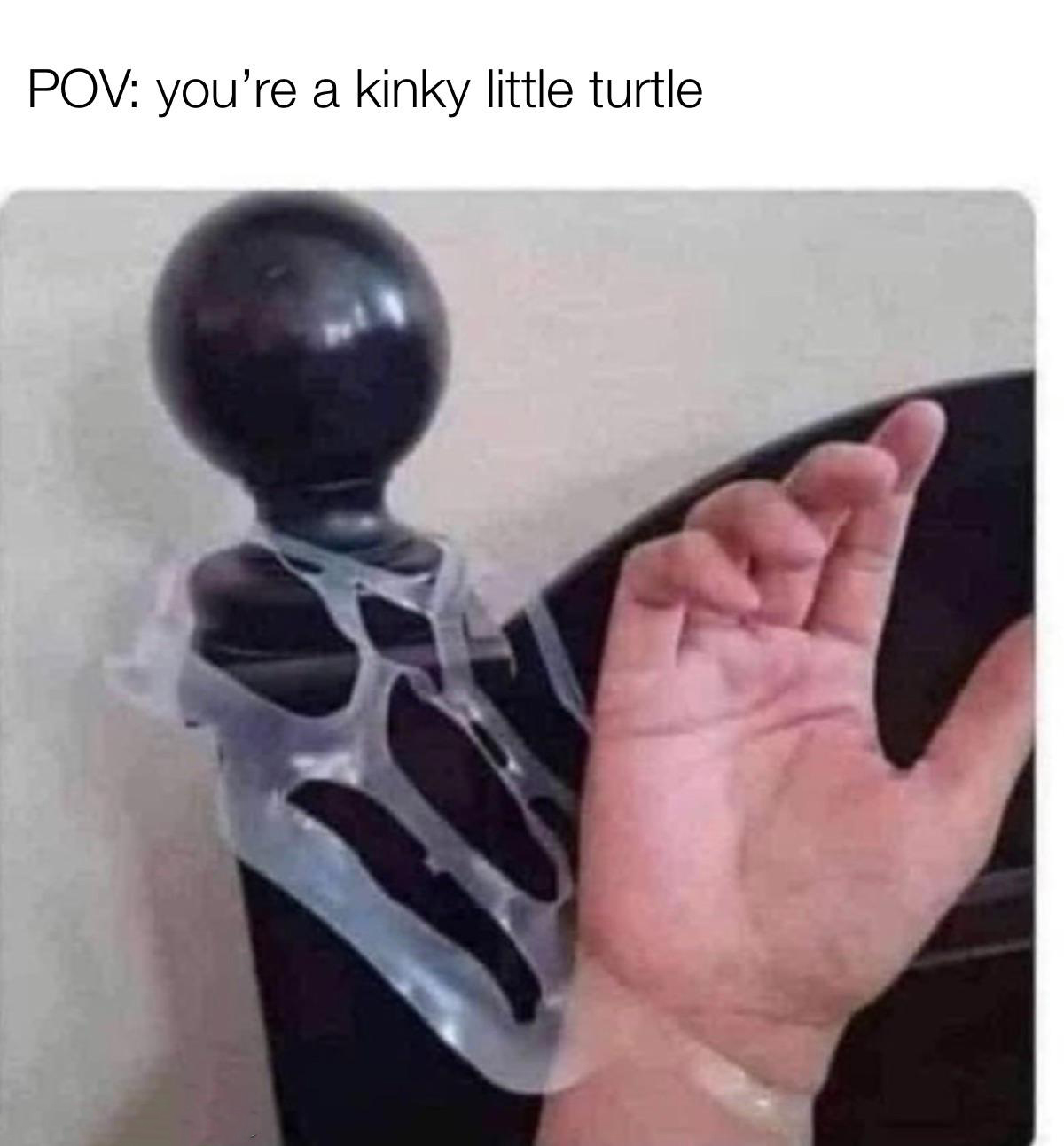 dank memes - funny memes - freak meme - Pov you're a kinky little turtle