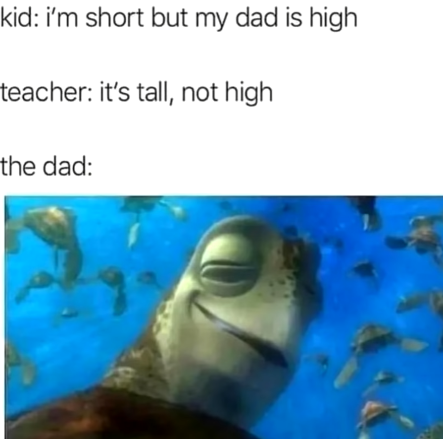 dank memes - funny memes - high turtle from nemo - kid i'm short but my dad is high teacher it's tall, not high the dad