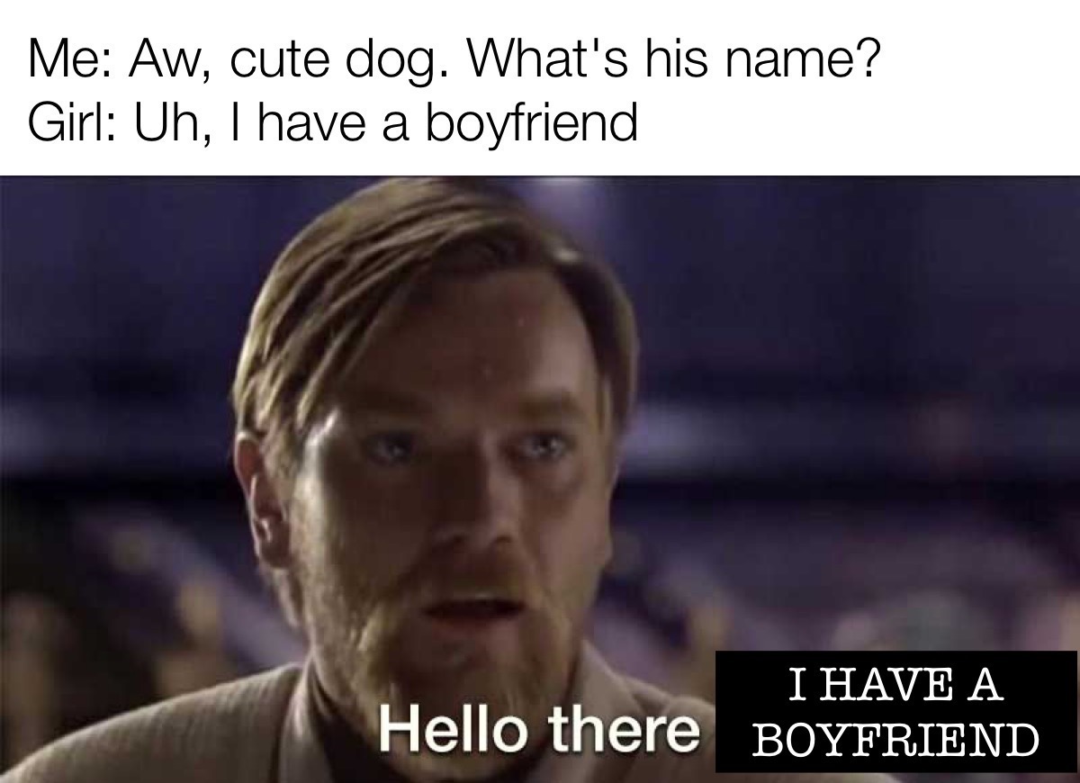 dank memes - funny memes - obi wan kenobi hello there - Me Aw, cute dog. What's his name? Girl Uh, I have a boyfriend I Have A Hello there Boyfriend