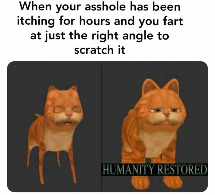 dank memes - funny memes - humanity restored memes - When your asshole has been itching for hours and you fart at just the right angle to scratch it m Humanity Restored