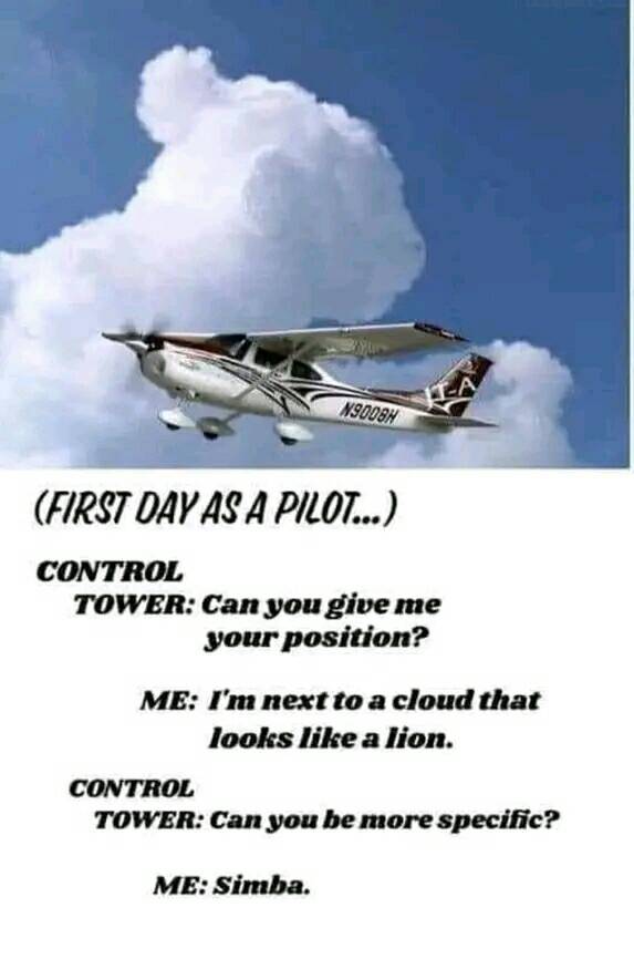 funny memes - dank memes - first day as a pilot simba - N9008H First Day As A Pilot... Control Tower Can you give me your position? Me I'm next to a cloud that looks a lion. Control Tower Can you be more specific? Me Simba.