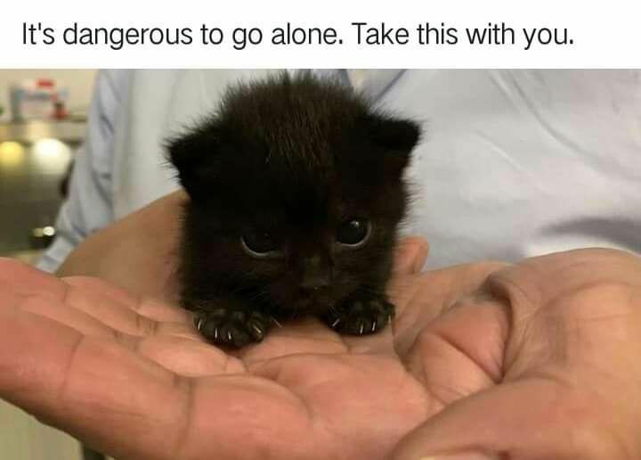 funny memes - dank memes - it's dangerous to go alone take this meme - It's dangerous to go alone. Take this with you.