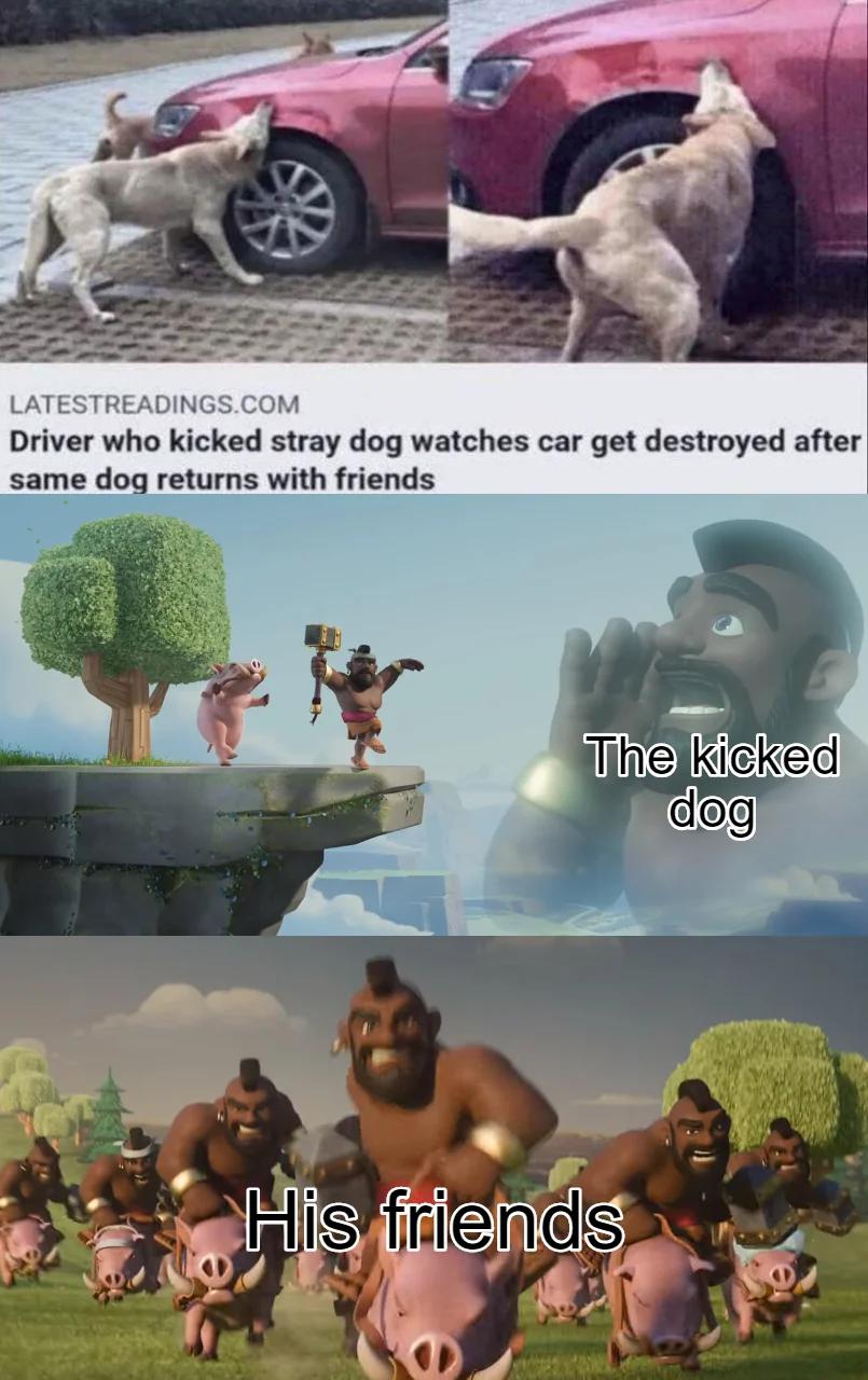 Dank Memes - hog rider meme - Driver who kicked stray dog watches car get destroyed after same dog returns with friends The kicked dog His friends