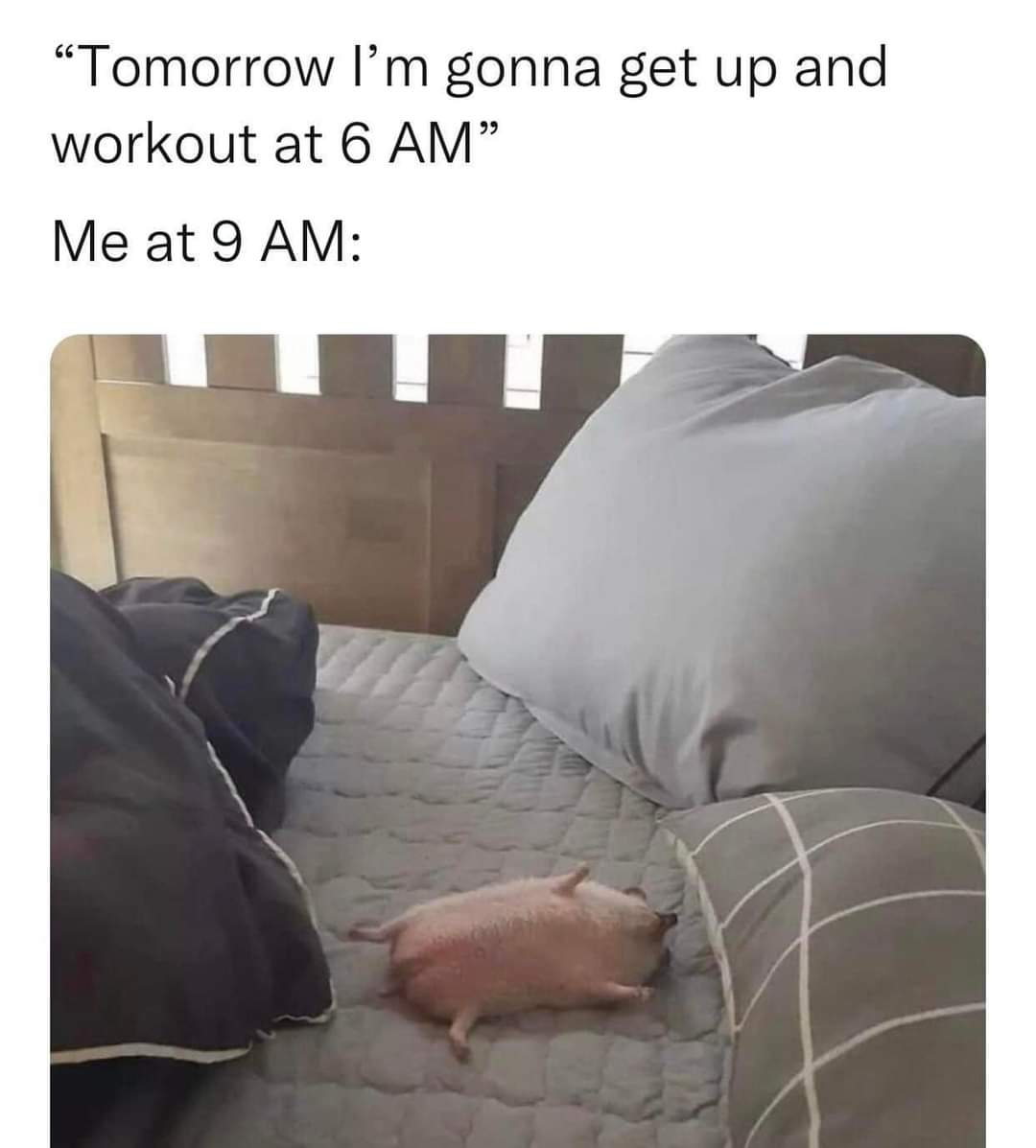dank memes - tomorrow i ll get up and work out meme - "Tomorrow I'm gonna get up and workout at 6 Am" Me at 9 Am
