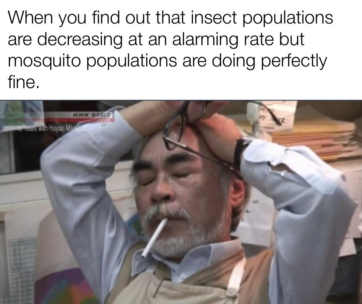 dank memes - miyazaki art block - When you find out that insect populations are decreasing at an alarming rate but mosquito populations are doing perfectly fine. Nhk World M ears with Hayao Mi