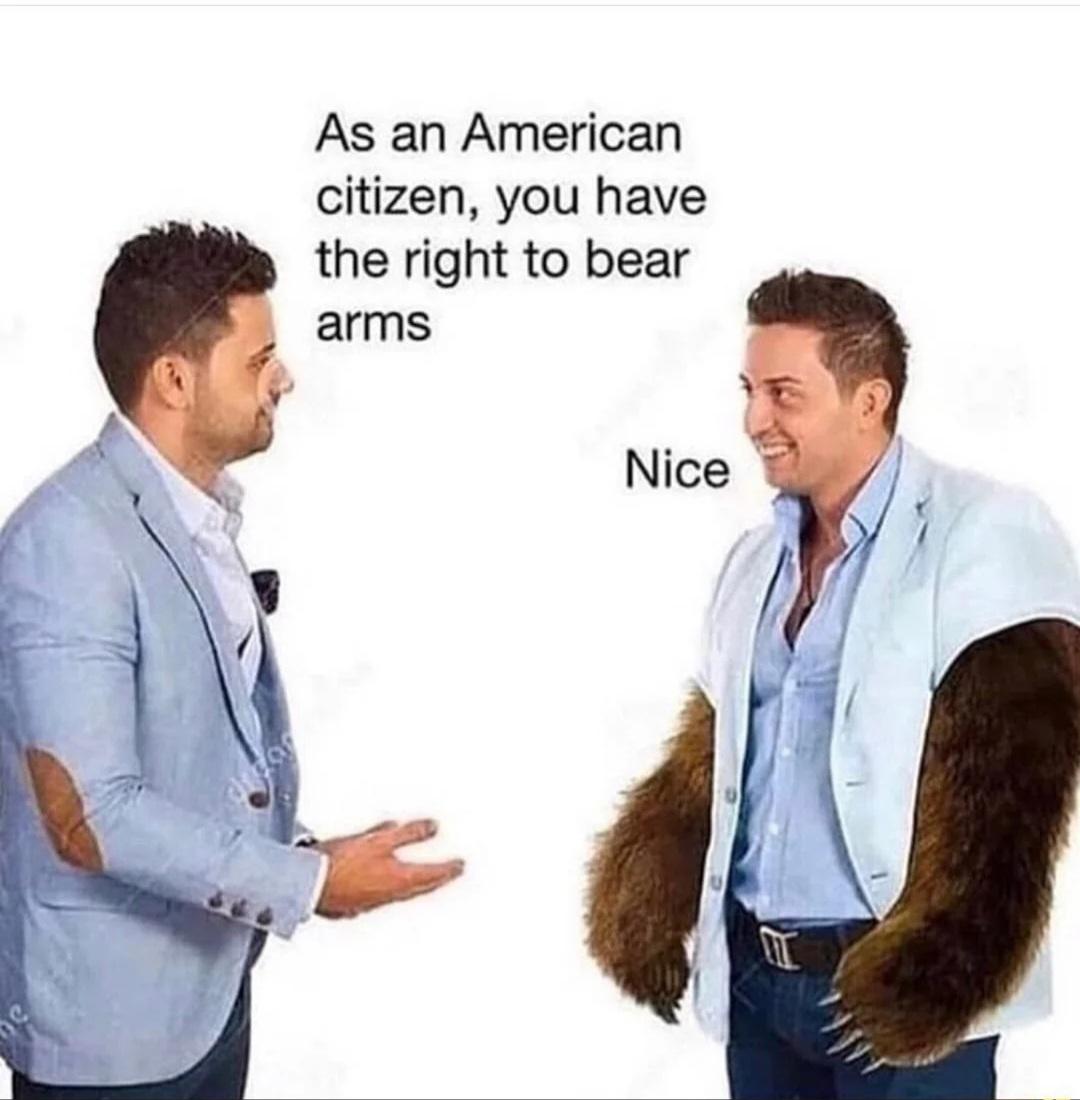 dank memes - right to bear arms meme - As an American citizen, you have the right to bear arms Nice decor