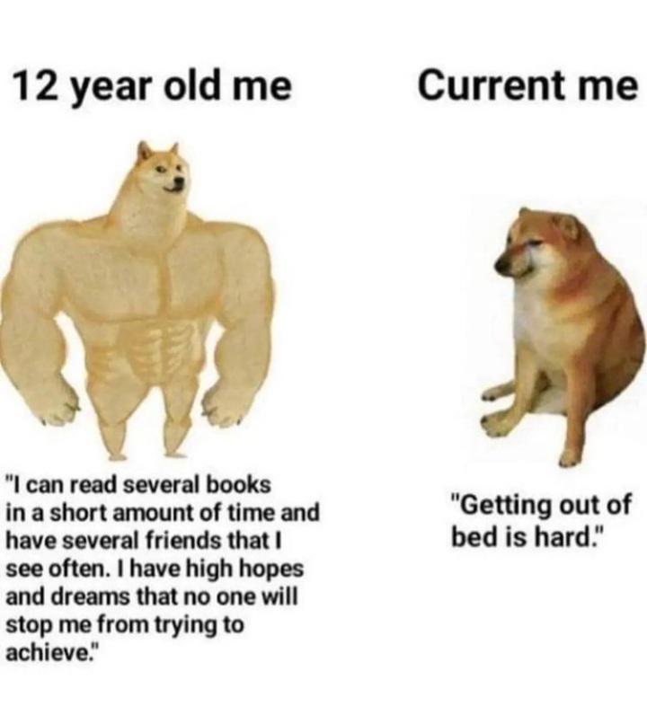 dank memes - swole doge meme - 12 year old me "I can read several books in a short amount of time and have several friends that I see often. I have high hopes and dreams that no one will stop me from trying to achieve. Current me "Getting out of bed is ha