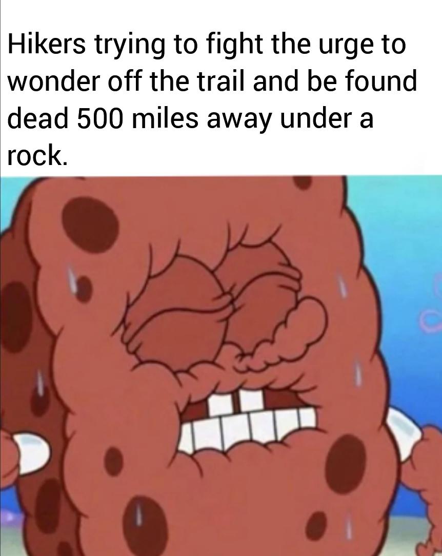 dank memes - cartoon - Hikers trying to fight the urge to wonder off the trail and be found dead 500 miles away under a rock. {