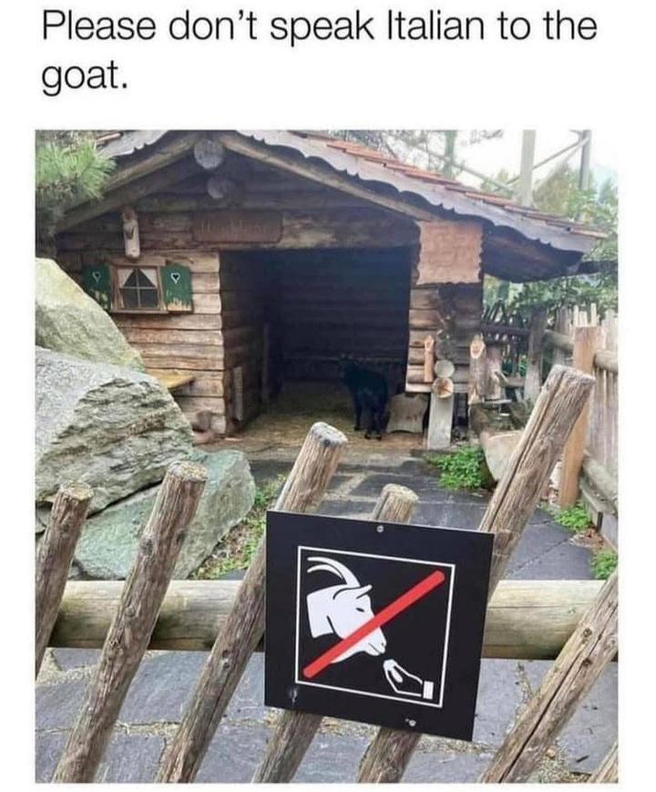 dank memes - marché heidiland - Please don't speak Italian to the goat.