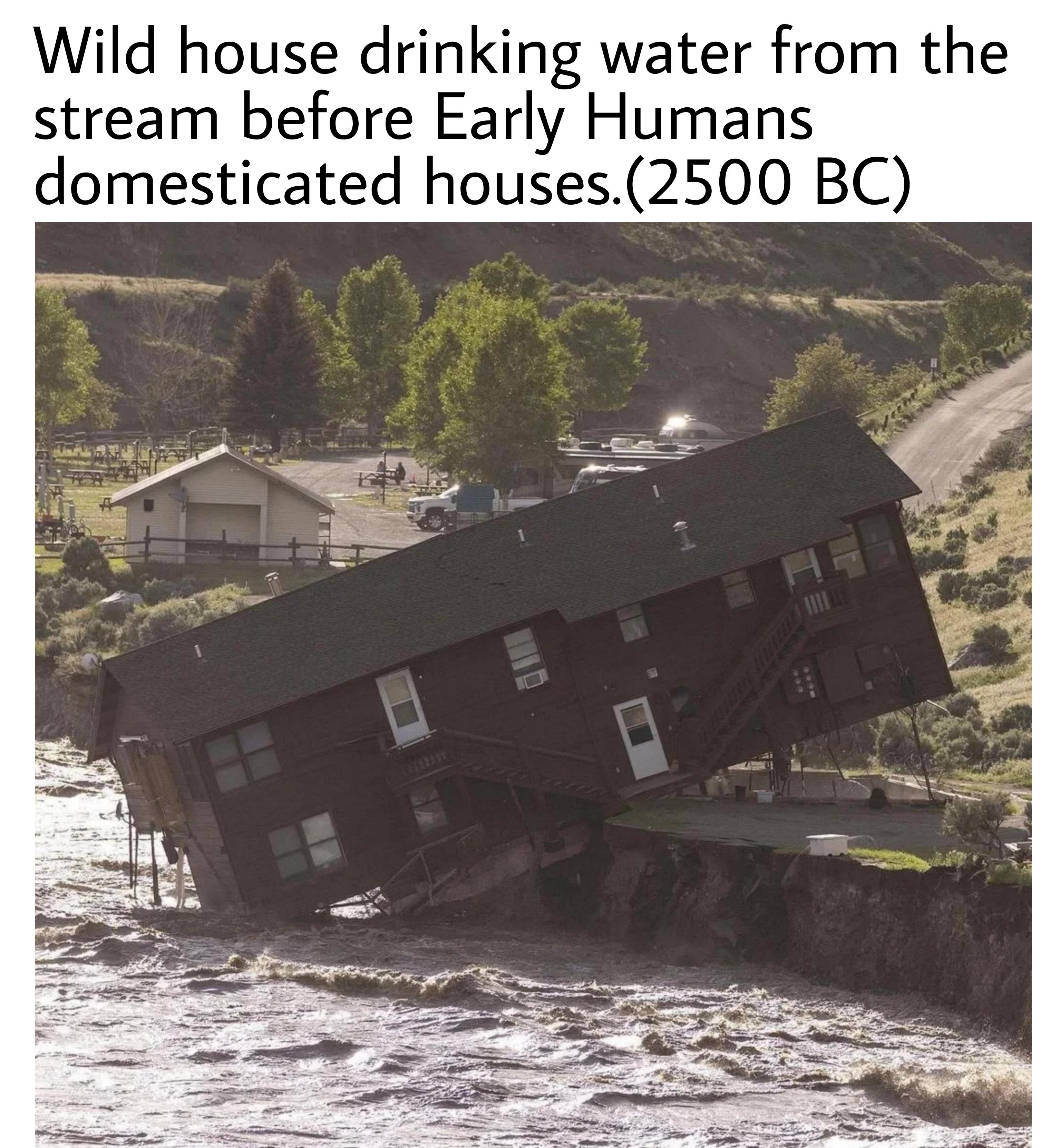 dank memes - vehicle - Wild house drinking water from the stream before Early Humans domesticated houses. 2500 Bc 1801