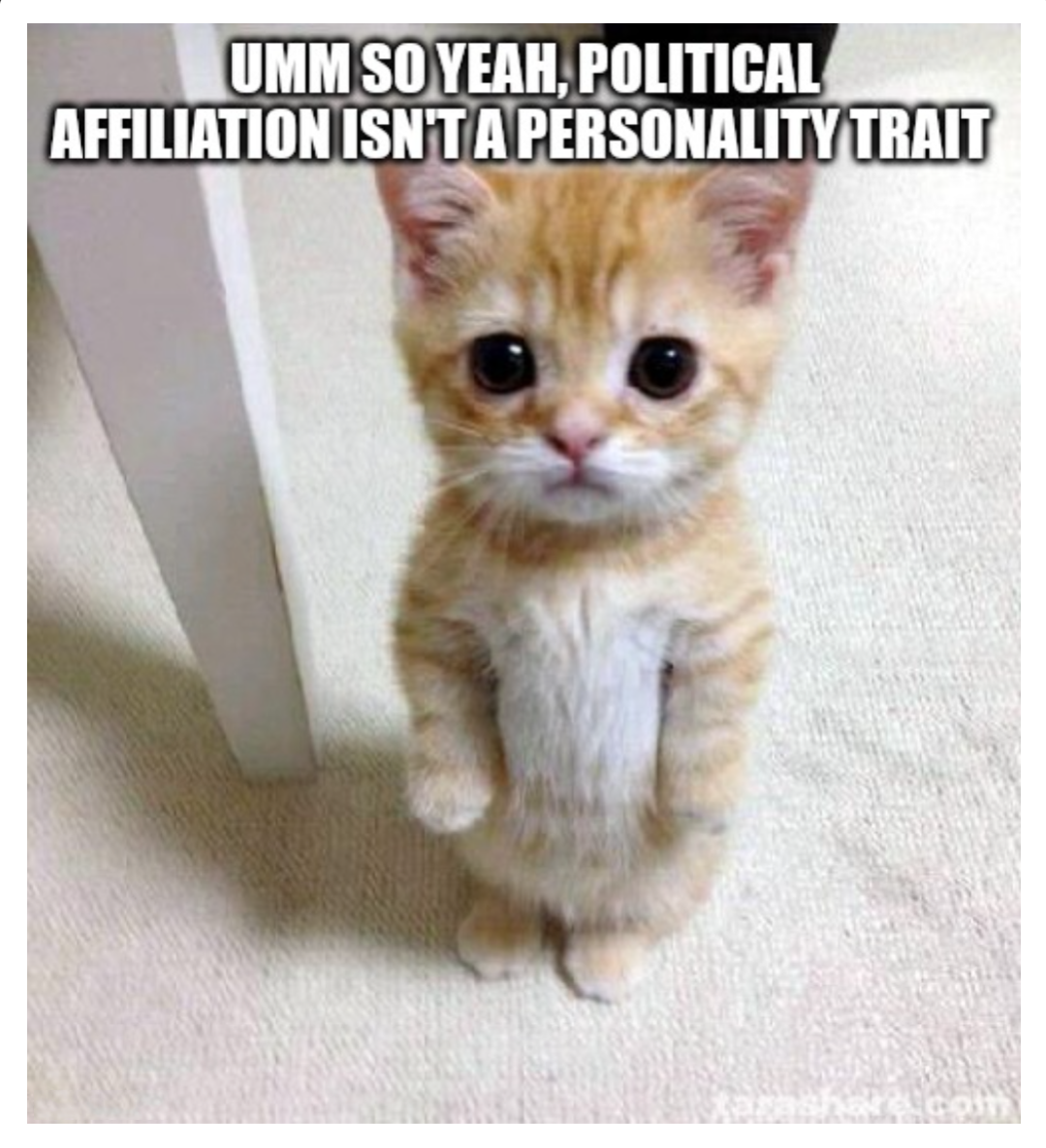 dank memes - meme el gato cat - Umm So Yeah, Political Affiliation Isn'T A Personality Trait