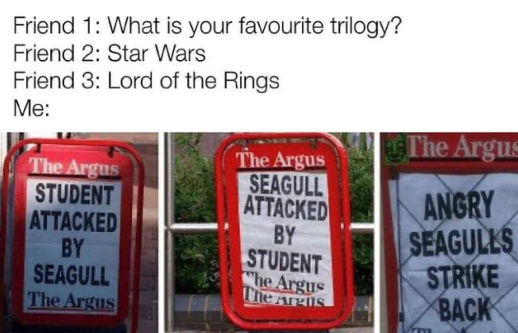 dank memes - escapism meme - Friend 1 What is your favourite trilogy? Friend 2 Star Wars Friend 3 Lord of the Rings Me The Argus Student Attacked By Seagull The Argus The Argus Seagull Attacked By Student The Argus The Argus The Argus Angry Seagulls Strik