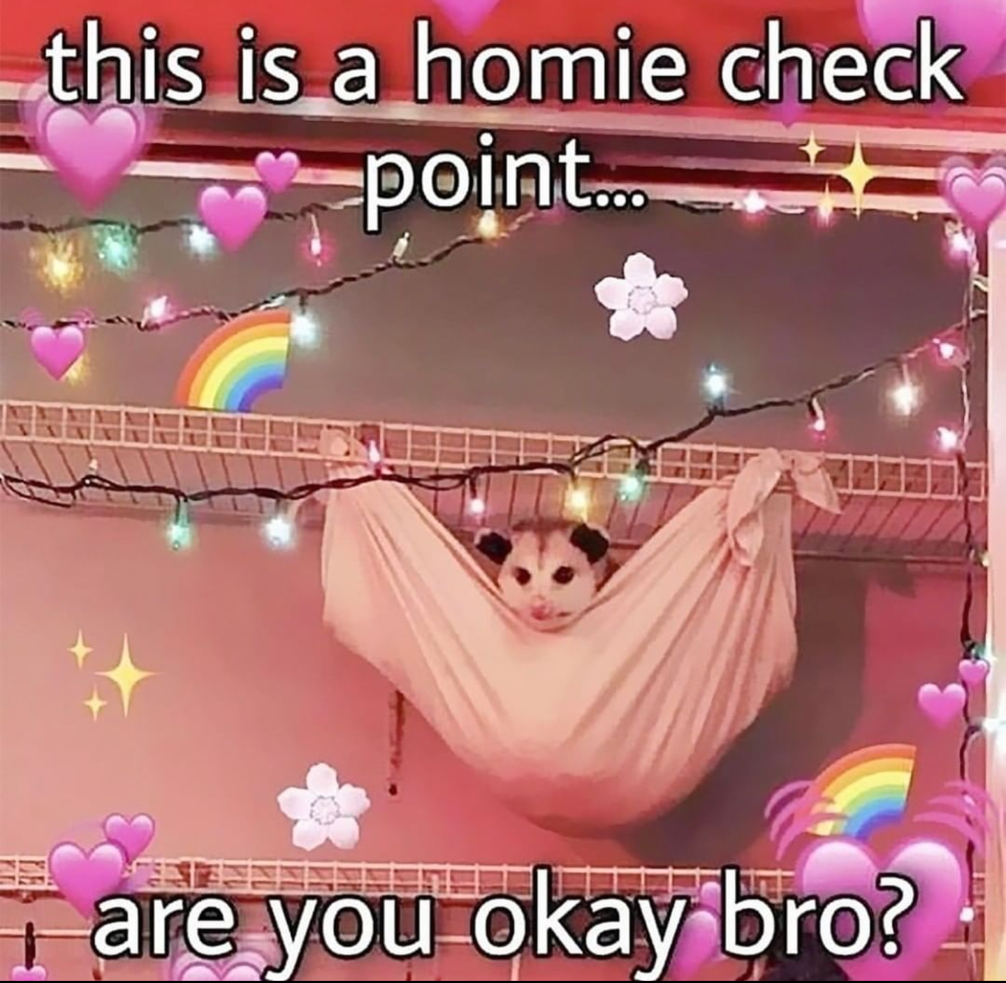 funny memes --  homie checkpoint meme - this is a homie check point... are you okay bro?