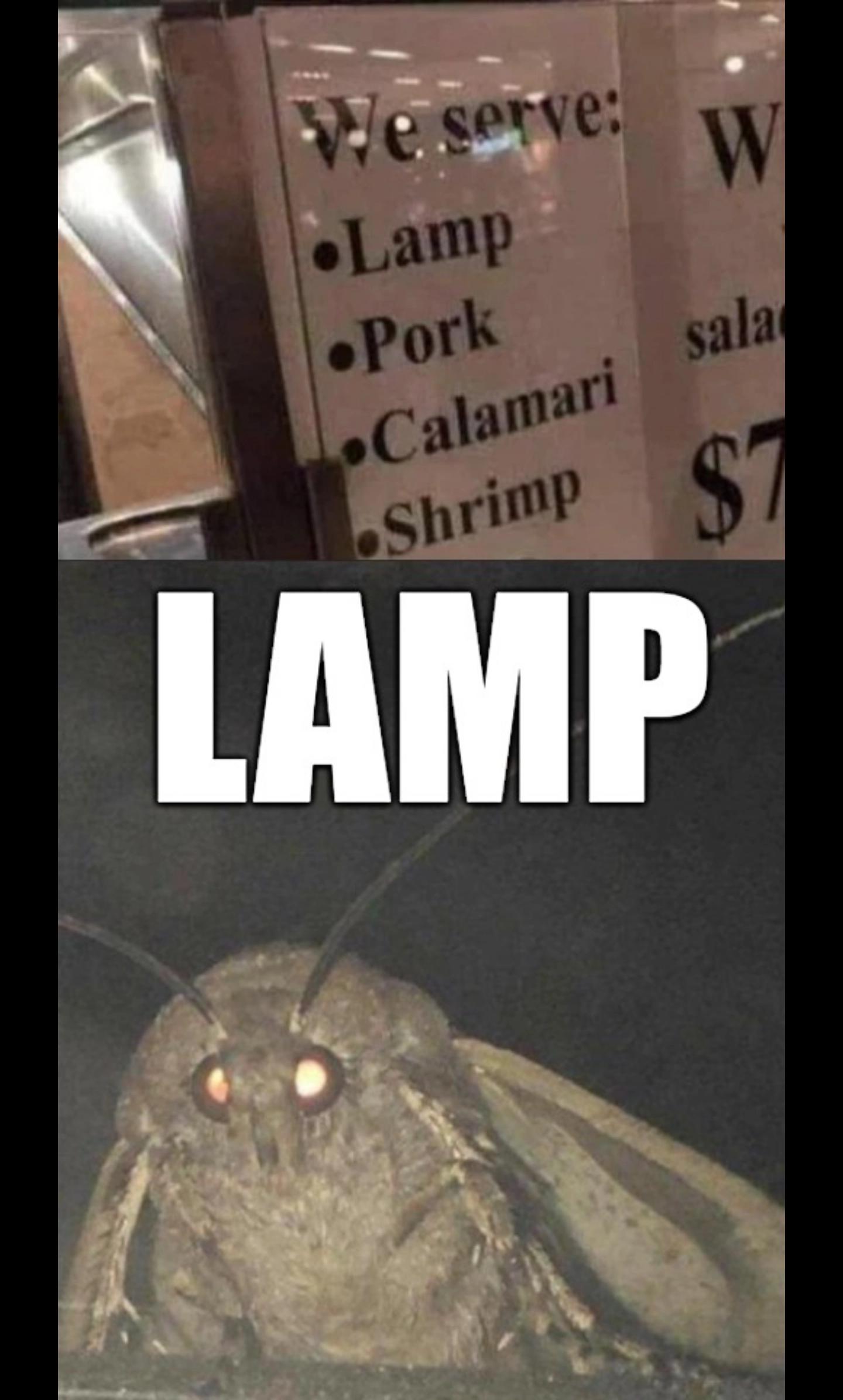 funny memes - moth memes - We serve Lamp Pork Calamari Shrimp Lamp W sala $7
