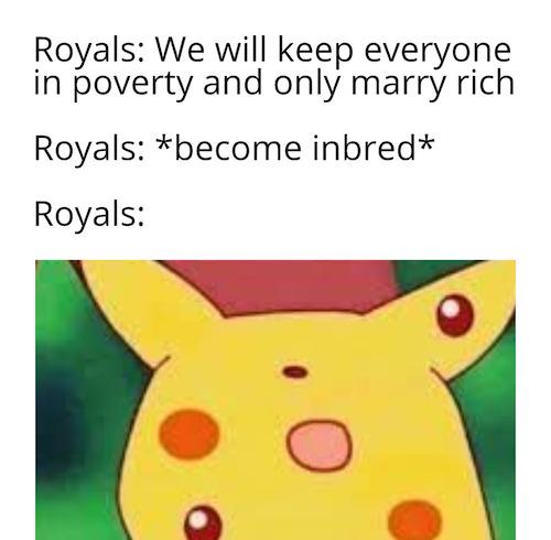funny memes - Royals We will keep everyone in poverty and only marry rich Royals become inbred Royals O