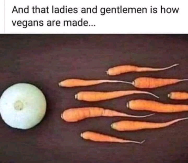 funny memes - vegetarians are made - And that ladies and gentlemen is how vegans are made... 20